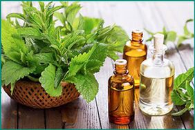 Mint and mint-based products to restore potency in men